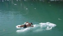 SUMDUM -  Swiming with the Icebergs